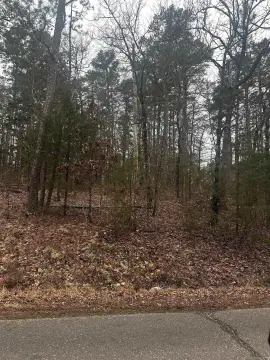 Hot Springs Village Subdivision Lot