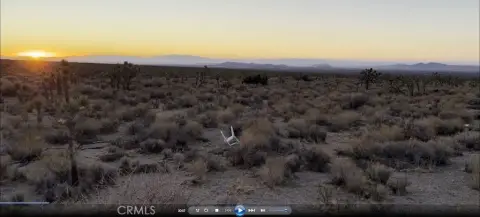 Recreation Land with Joshua Trees