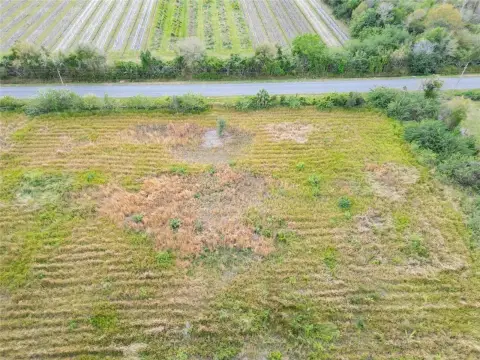 WIMAUMA Land Opportunity