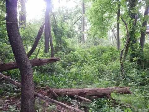Residential Land Near Long Lake