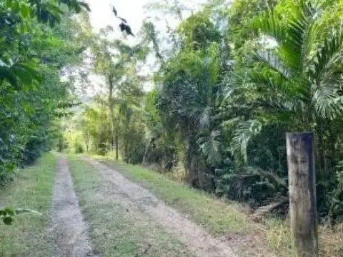 Rain Forest Land Opportunity