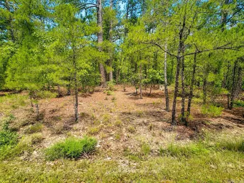 Residential Building Lot in Gated Community