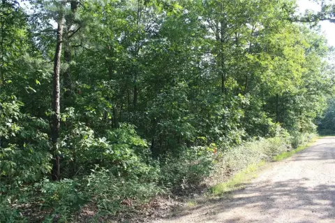54.98 Acre Hunting/Recreational Land