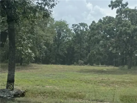 Residential Land Lot with Clearing