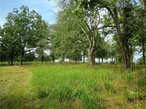 Wooded Residential Development Lot