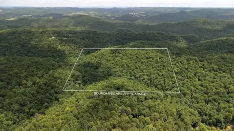Timber Hunting Land with Mature Hardwoods