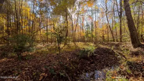 Lake Gaston Area Land Opportunity