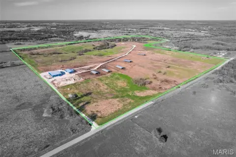 Turn-Key Cattle Feed Stockyard