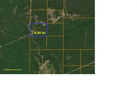 Wooded Hunting and Recreation Land