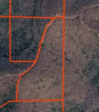 Wooded Recreation Land Tract