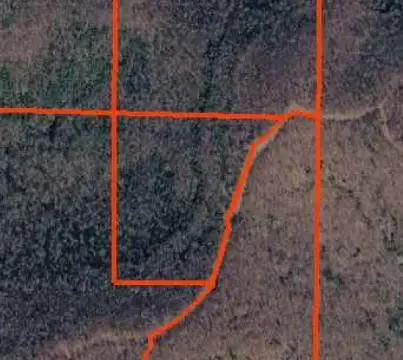 Wooded Recreational Land Tract
