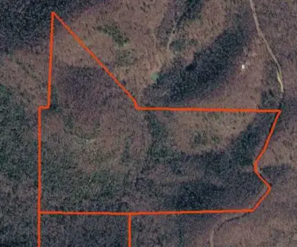 Wooded Recreational Land Tract