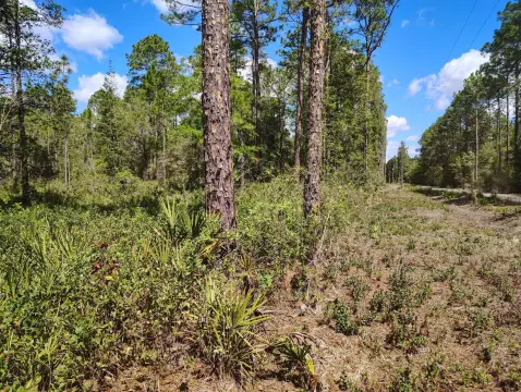 Zoned Agricultural Vacant Land