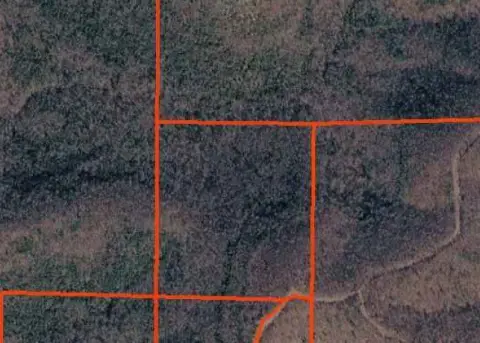 Wooded Hunting and Recreation Land