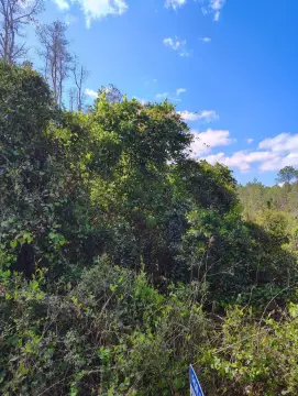 Vacant Agricultural Land Parcel
