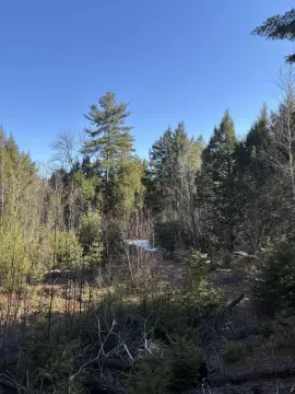 West Paris Land Opportunity