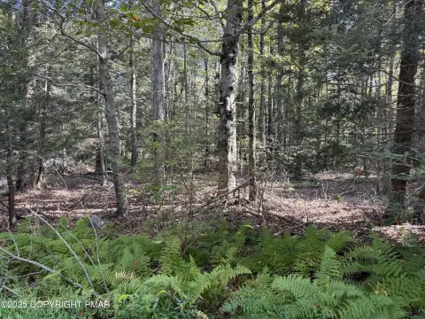 Residential Lot in Greenwood Acres