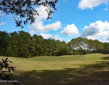 Golf Course Homesite on Green