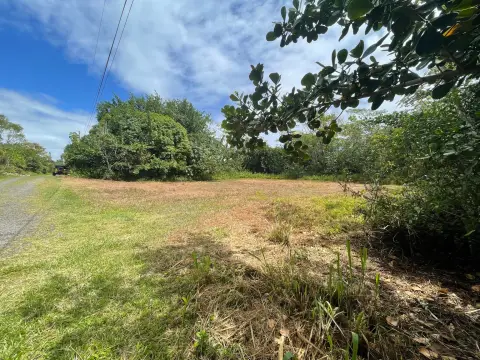 Serene One-Acre Lot in Keaau