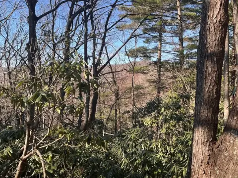 Resort Recreation Land Parcel
