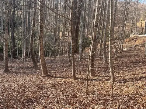 Gated Resort Homesite with Creek