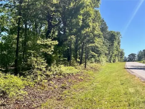 Commercial Land in Dadeville, Alabama