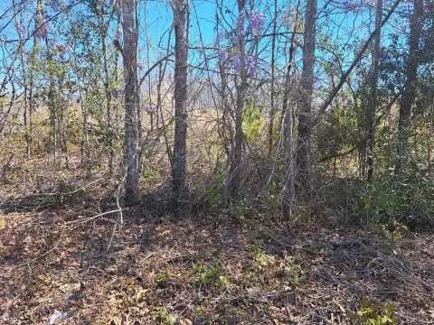 Undeveloped Land in Santee, SC