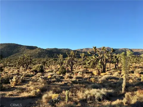 10 Acres in Burns Canyon