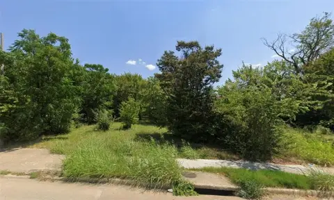 Residential Lot in Dallas, TX