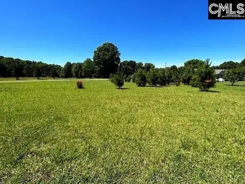 Cleared Lot in Chapin