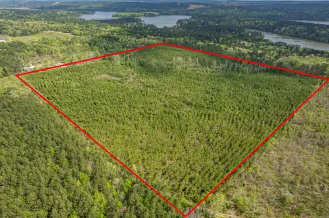 40 Acres Hunting and Timber