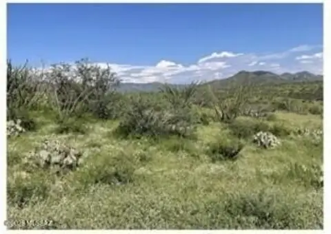 Rio Rico Buildable Land