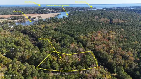 Wooded Lot in Oriental Plantation