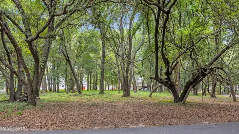 Corner Lot in Goose Creek