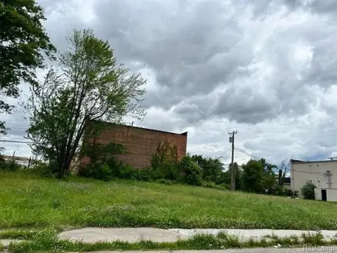 Detroit Land Bank Multi-Unit Lots