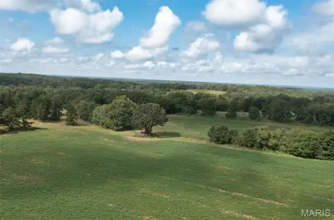 Agricultural Land with Mature Pines