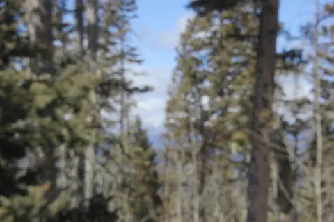 Angel Fire Treed Land Parcel