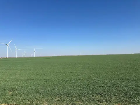 Farmland with Income Potential