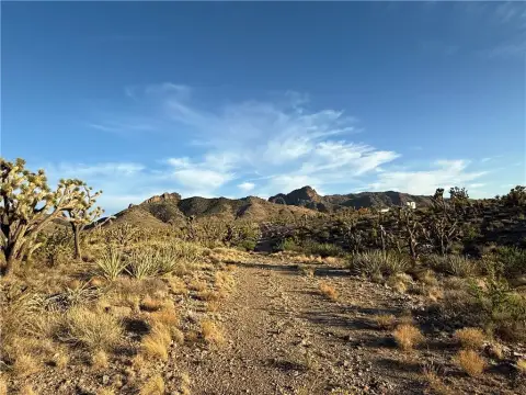 Undeveloped Land in Dolan Springs