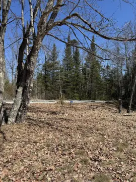 Commercial Lot with Utilities