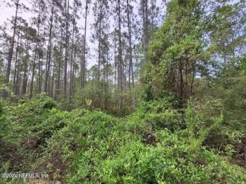Georgetown, FL Land For Sale