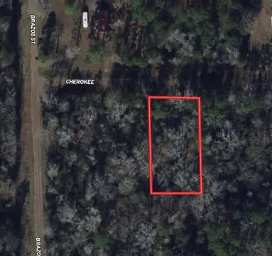 Wooded Lot Near Lake Palestine