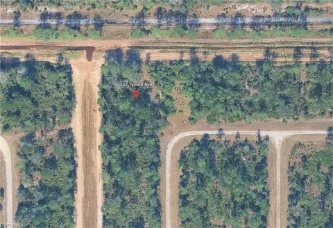 Vacant Land in Lehigh Acres