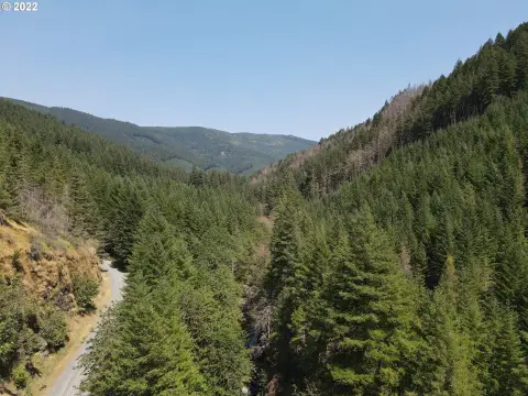 Forested Land with River Frontage