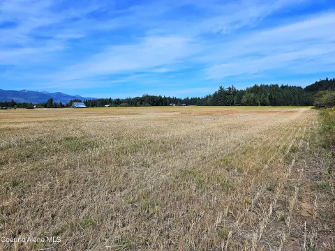 Agricultural Land Parcel