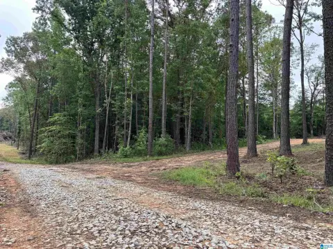 Unrestricted Residential Land Tract
