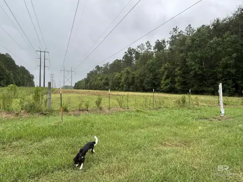 Wooded Residential Lot with Road Frontage