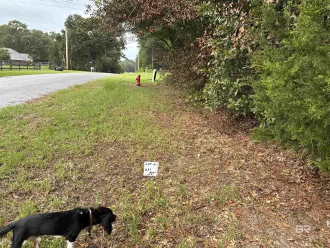 Wooded Residential Land with Road Frontage