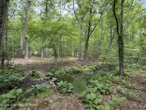 Wooded Residential Land Opportunity