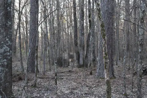 Residential Development Opportunity in Pine Bluff